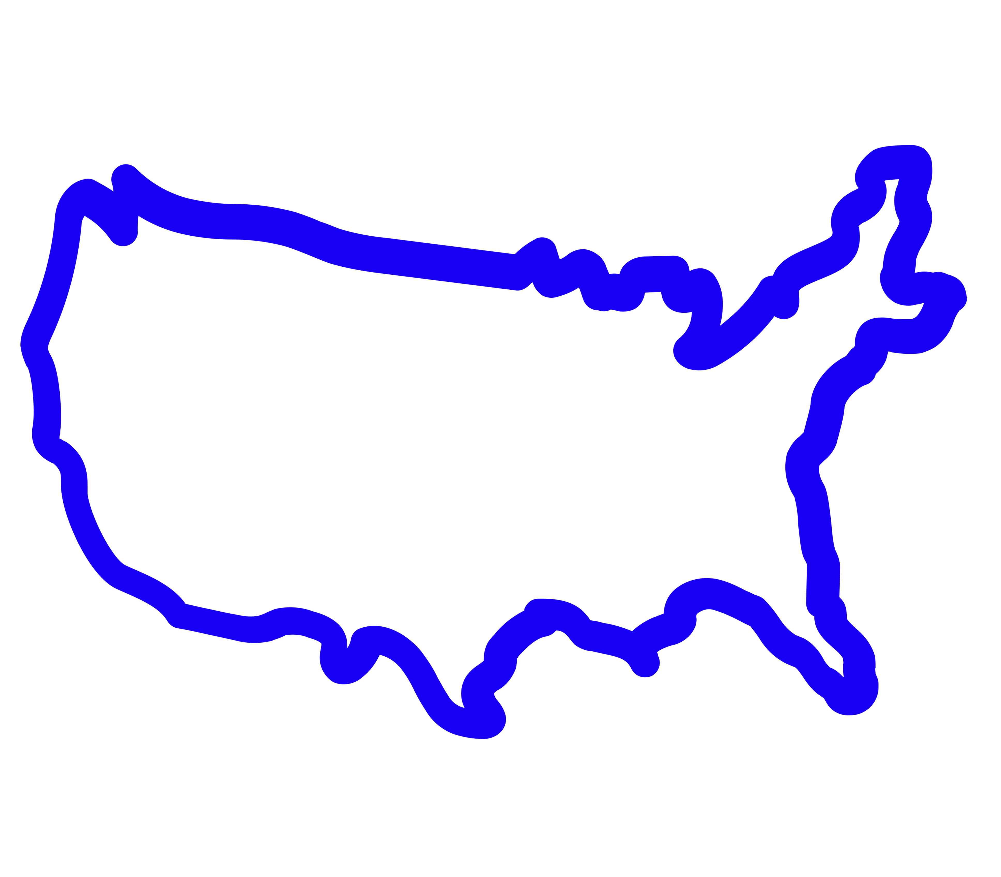 USA Map Icon