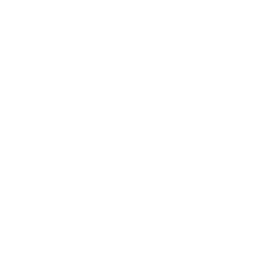 Check mark Icon