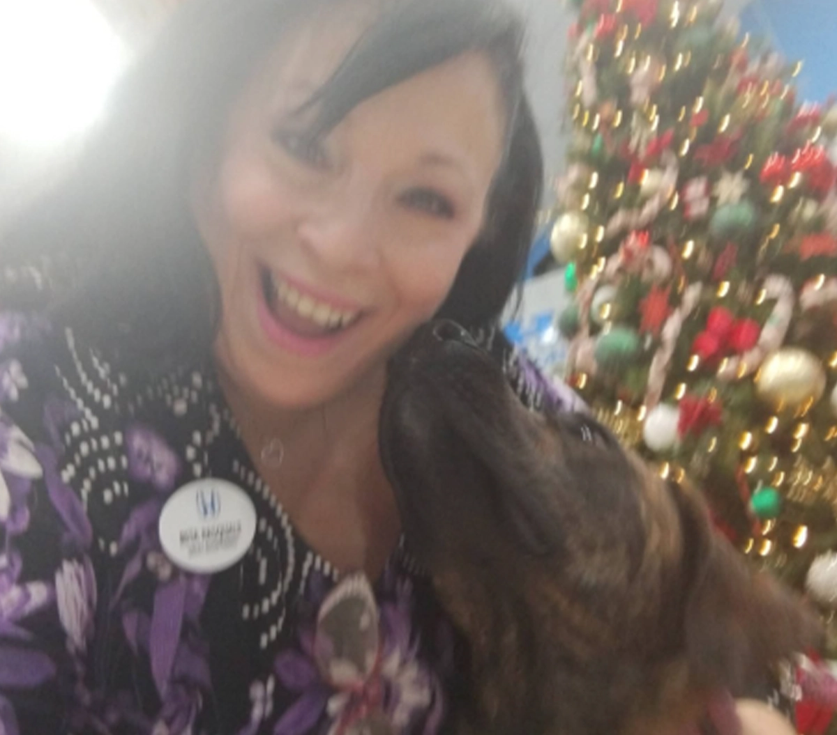 Rt 128 Honda Deck the Windows Event